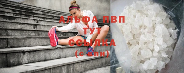 спиды Заволжье