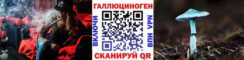 Галлюциногенные грибы Psilocybe Нововоронеж