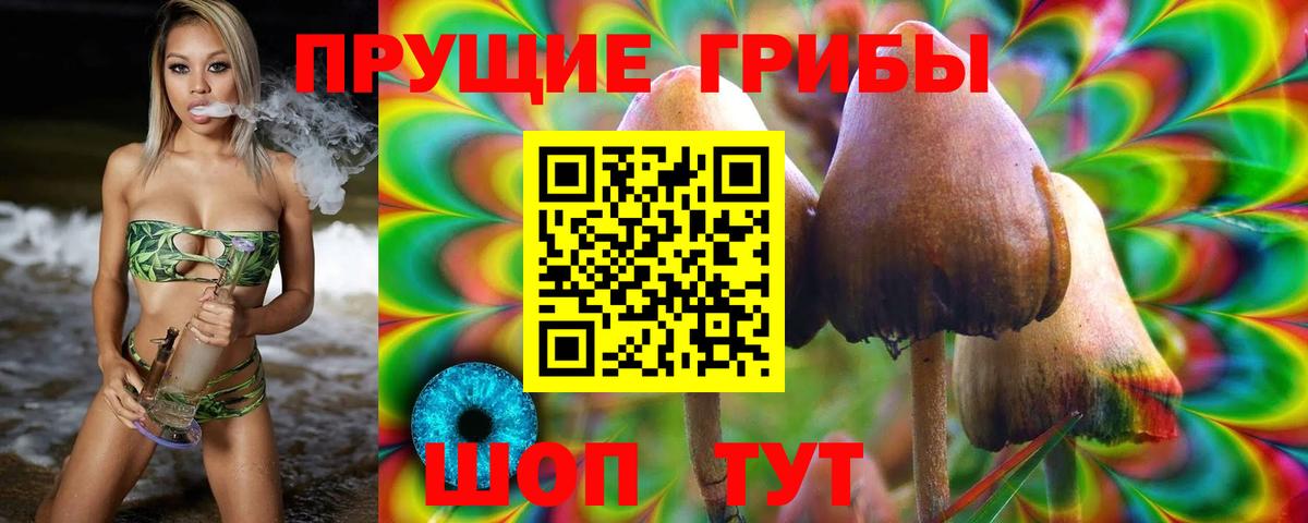 Нововоронеж  Псилоцибиновые грибы Psilocybe  Вход с VPN 